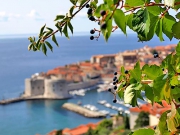Dubrovnik 13.jpg
